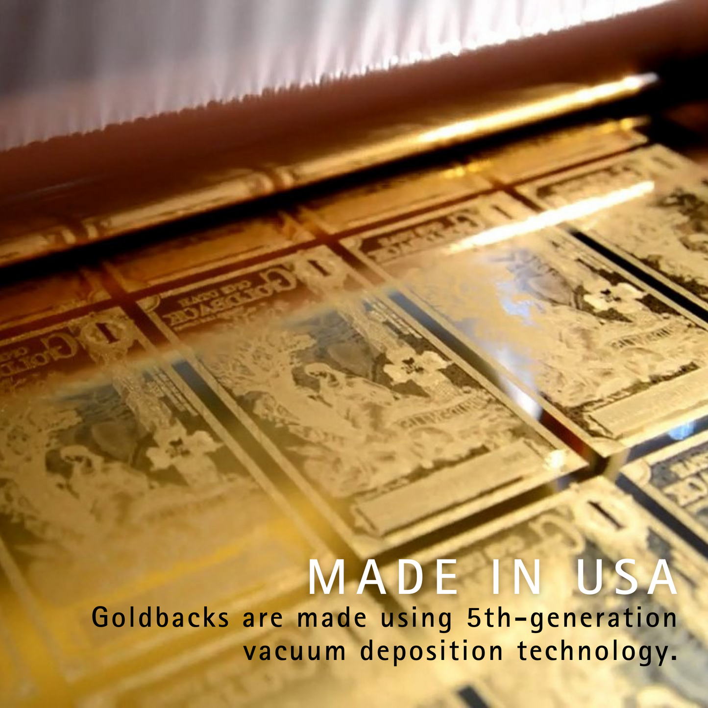Florida Goldback Troy Oz 24K Gold-Backed Bill